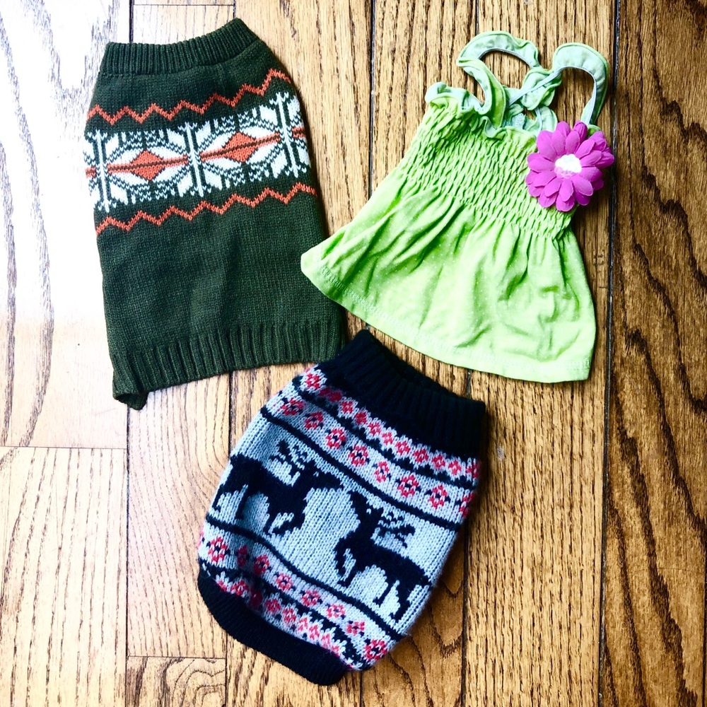 Dog Clothes Bundle 🐶